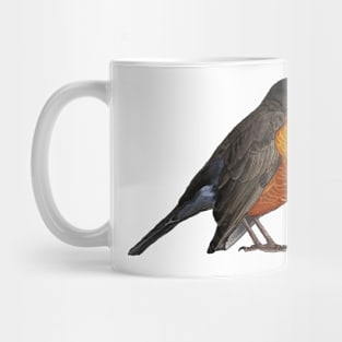 American Robin (Male) Detailed Illustration Mug